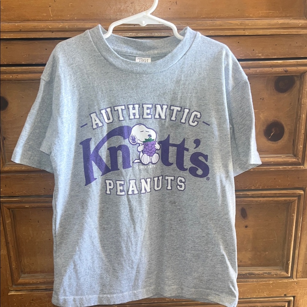 Knotts Berry Farm Kids Gray and Purple T-Shirt (worn once)